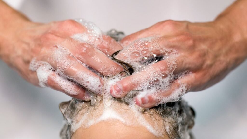 10 Melhores Shampoos para Cabelos Grisalhos Feminino 2024 1 Shampoos para Cabelos Grisalhos Feminino