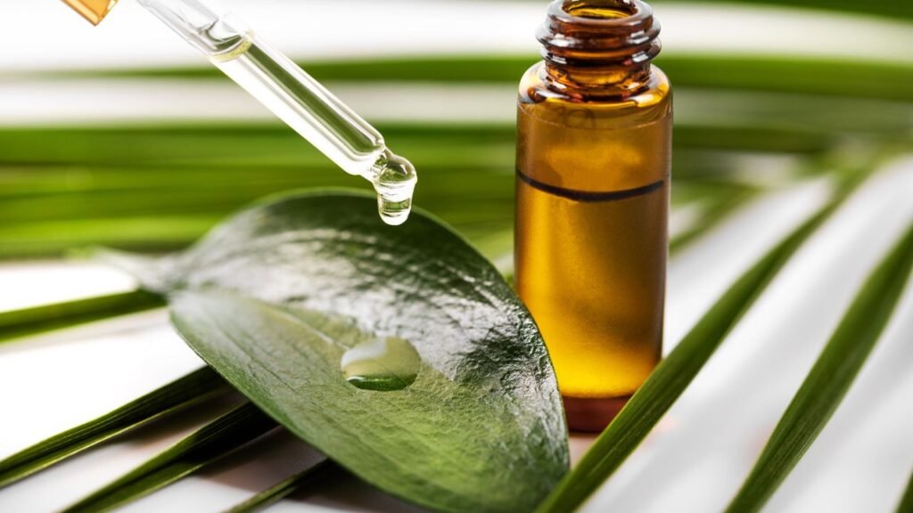 Melhor Óleo de Melaleuca: os 10 melhores em 2024 1 Melhor Oleo de Melaleuca